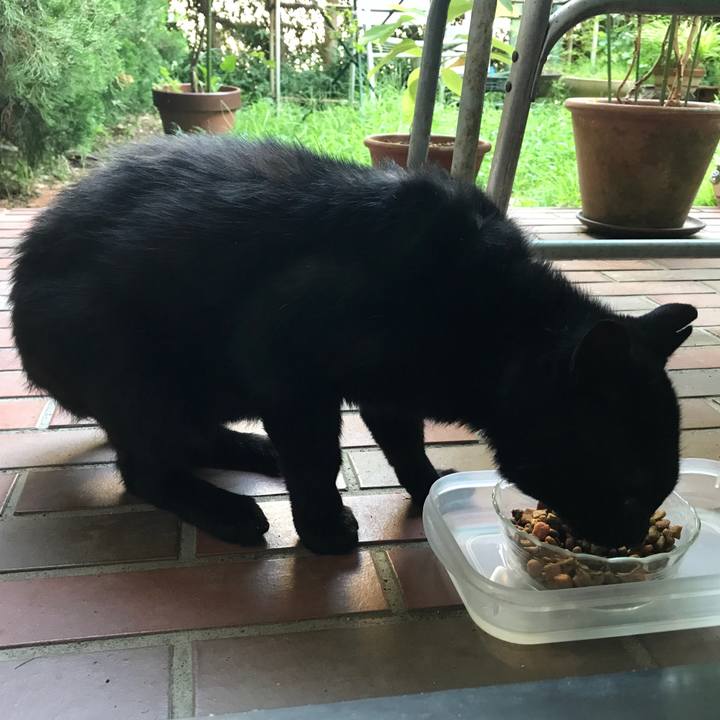 Cf921df3 a52f 4f44 8471 cb4d300e3ed6