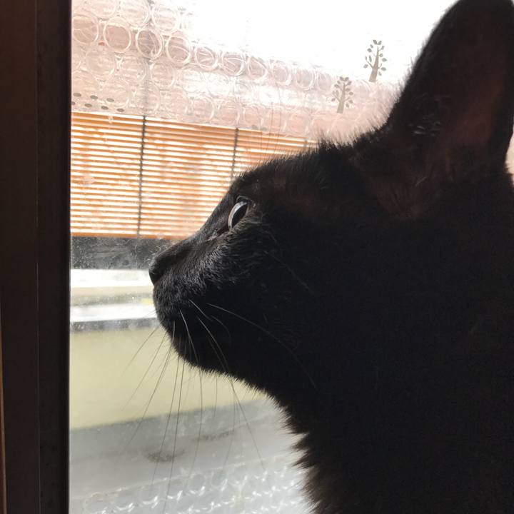 Cf925470 2305 4a66 92d2 7a752a9d3cc8