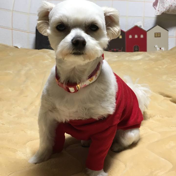 Cf93d63e 894d 429d 9c63 2b47c29068ba