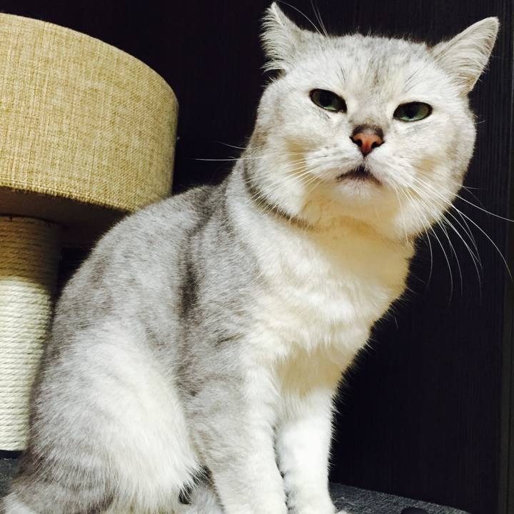 Cf940ae8 dda4 4d55 9351 25864204fdc7