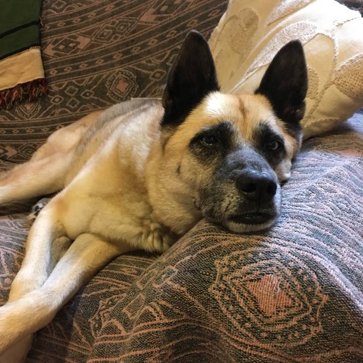 Cf9432b0 8697 4fd0 859d 43c32ed58db8