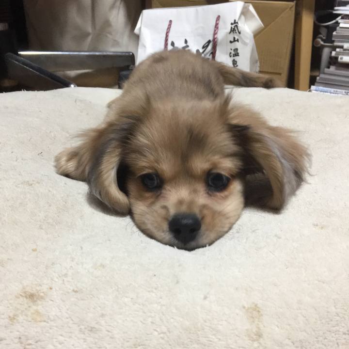 Cf9457fb 2bd6 48a0 8ea1 ff51aced8ea0