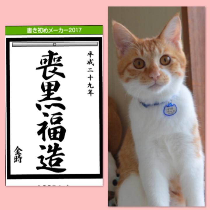 Cf948baa f216 4465 aa69 f90c37fca4fc