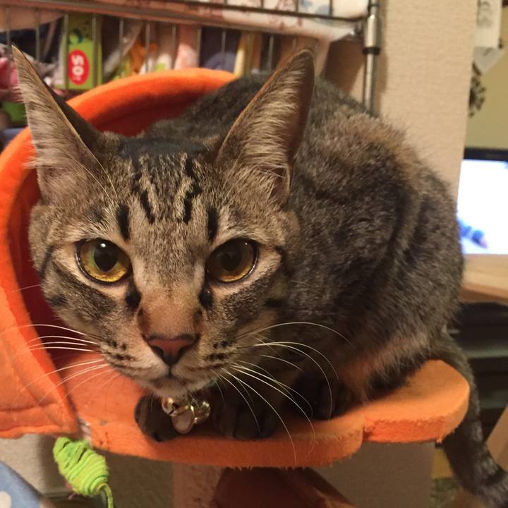 Cf951203 82fa 4715 a164 84b4e51f28f5