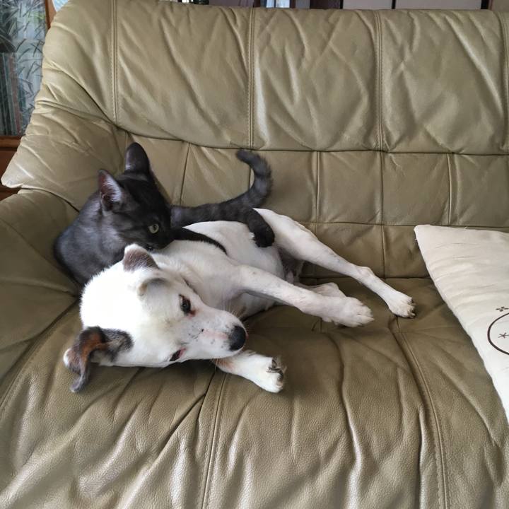 Cf958e62 33dd 4d57 a7d2 590e24ef7fe2