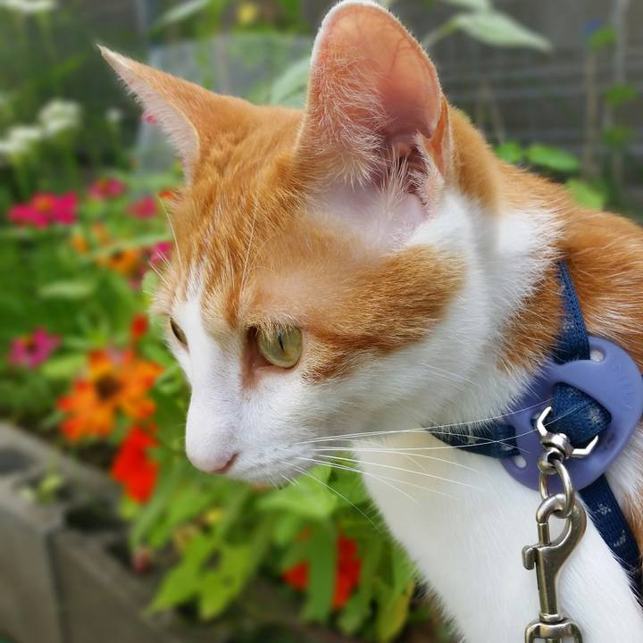 Cf9594d5 ba9b 4bcc 928b 10001254da93