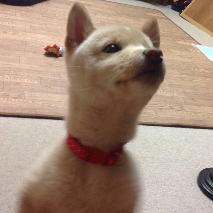 Cf9615f9 311b 4141 9ecb c8079f79a94a