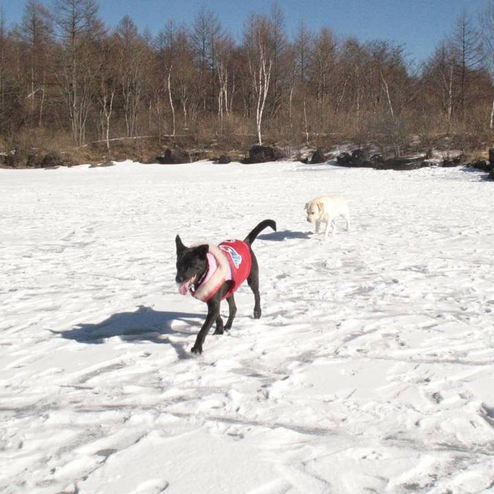 Cf96d07b 6bfd 4341 9cd5 c3171e2188ae