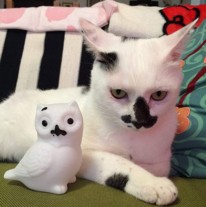 Cf96d81e 78a5 4ba0 a4b6 08e438f000fd