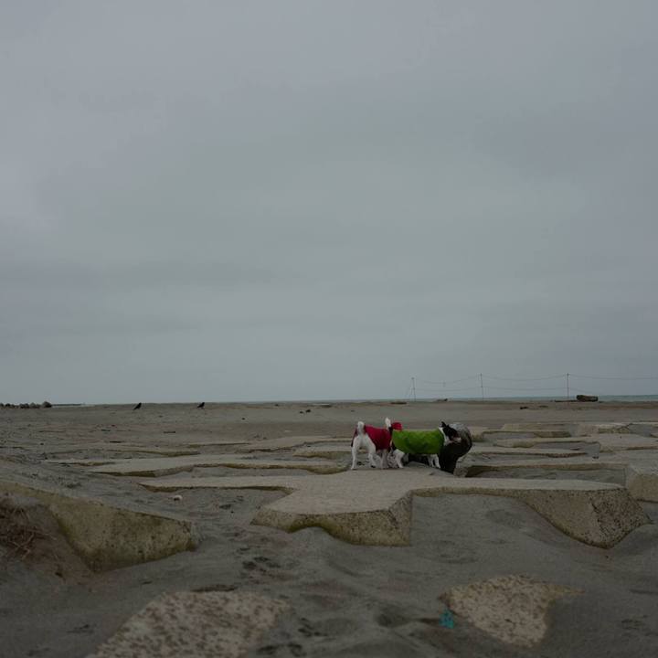 Cf96ef6f e043 4ab6 9da6 80a5f50270c4