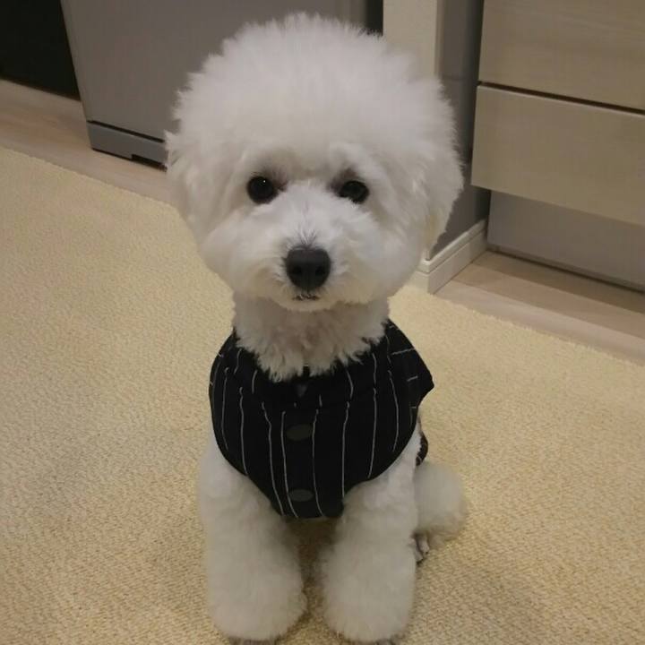 Cf9700af fc2c 499f b751 e2ed264067ed