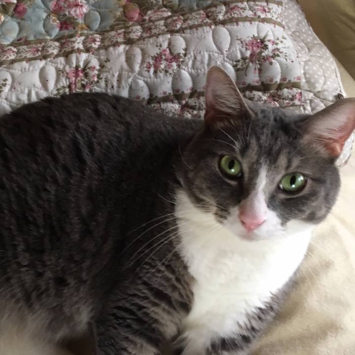 Cf9763b7 dfad 4811 929e f8ae0ec7e79f