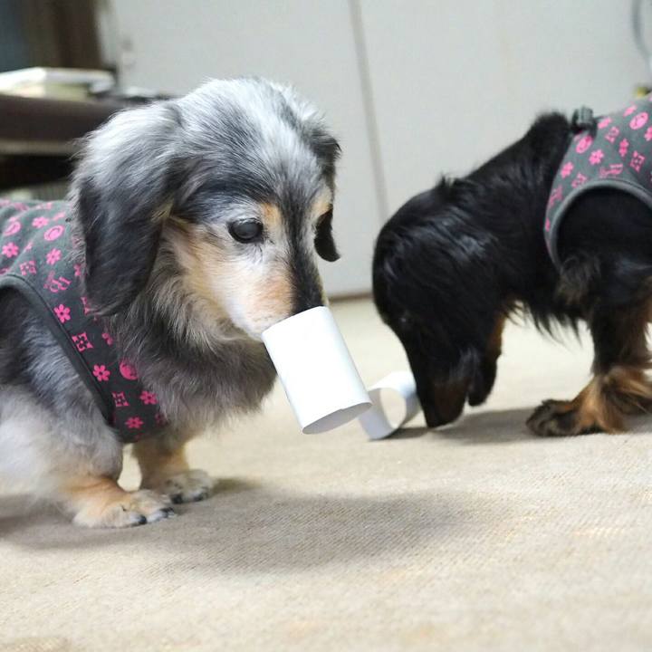 Cf97a0f1 da52 4bbb 9094 79cfb58e4dad