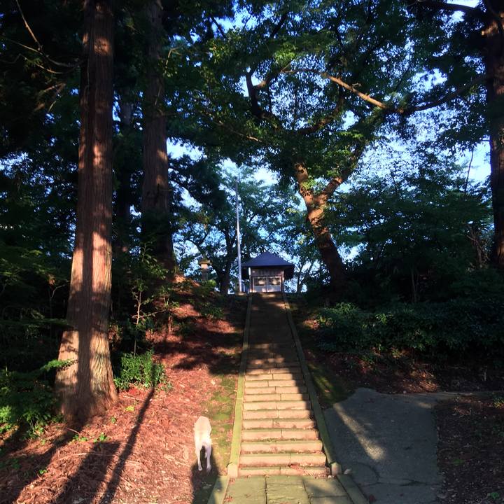 Cf9838ab 1461 4995 8653 ee6891922311