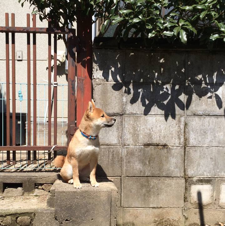 Cf98ef9e 89f2 4651 8f8e 28461f973d1e