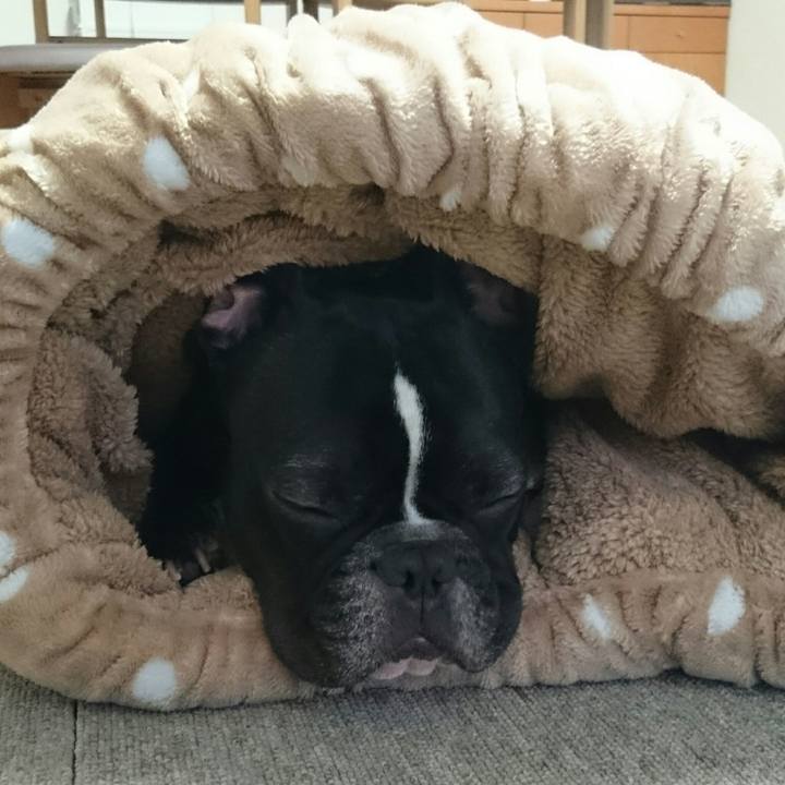 Cf98f2df 24f5 420f b642 cbe41e56d406