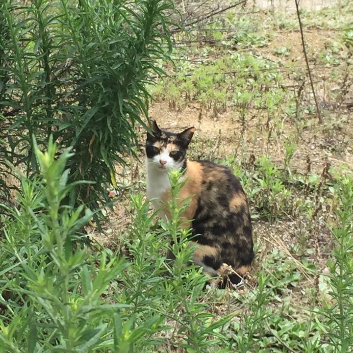 Cf990614 8b49 4b6d 952c e80a80840c8d