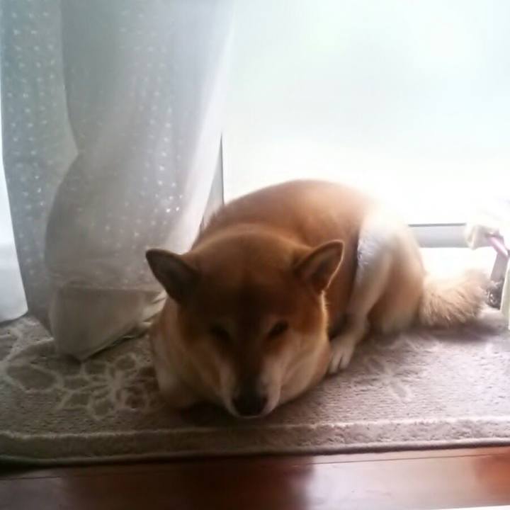 Cf9a37a8 e926 437e 89bc 207b03e6d5f7