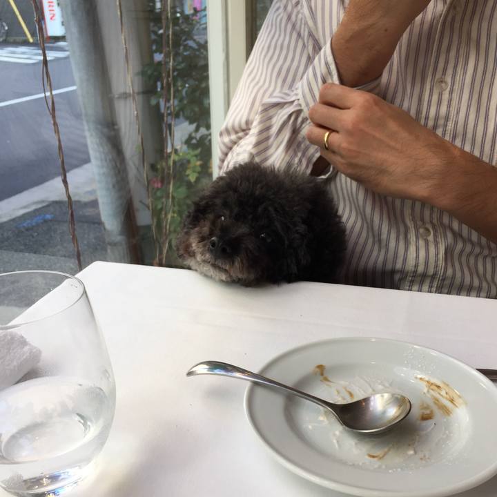 Cf9ae140 56b9 47ae ab31 d337e253016f