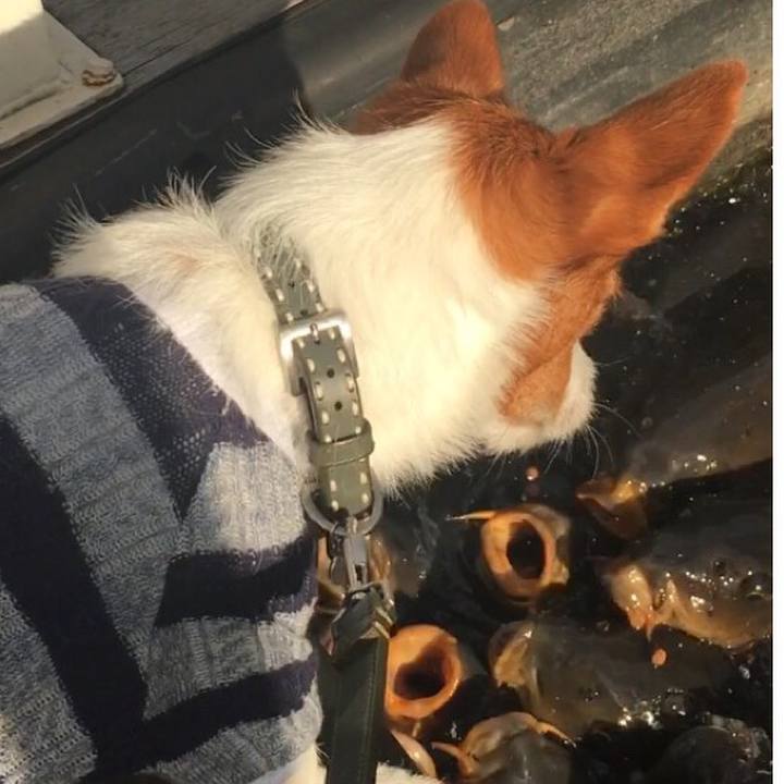 Cf9afdf0 a9fa 4266 bc06 1cd3be3dde0b