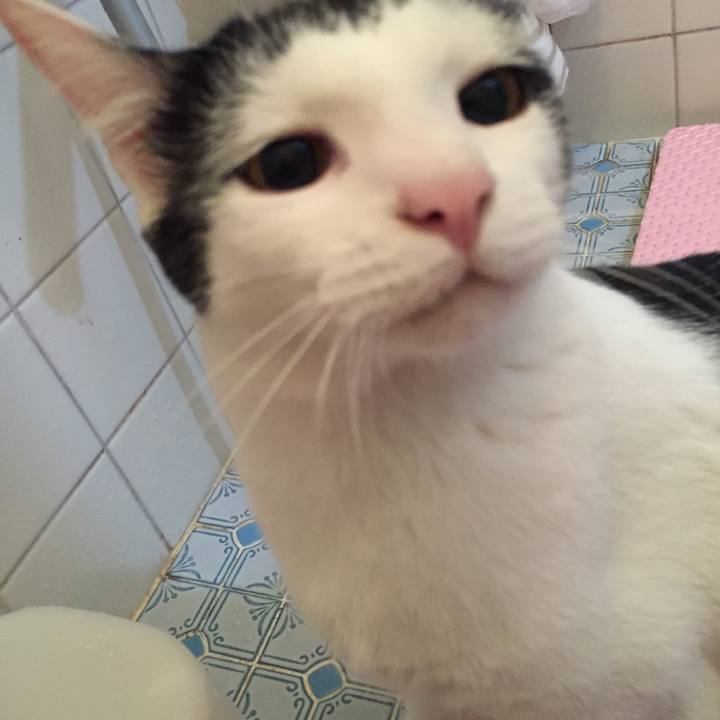 Cf9b090c 55b4 403f af94 2d29ddc16d72