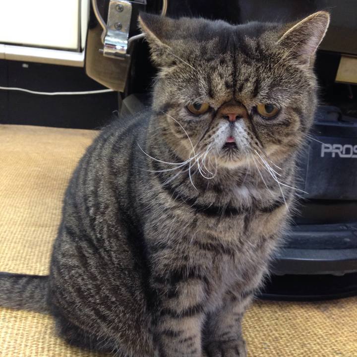 Cf9d5e2b 5768 4b65 9af0 e064b5186e06