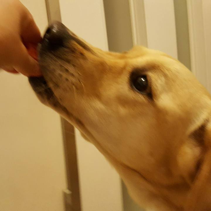 Cf9df18f 42ba 44ef b200 372a412a9928