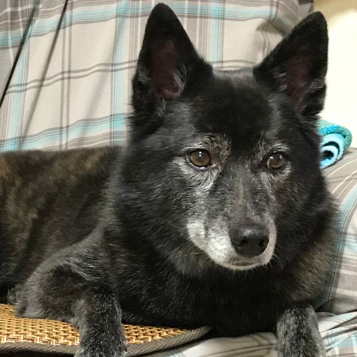 Cf9f1ea0 f3ec 48e6 8309 a46dd6b23cf9