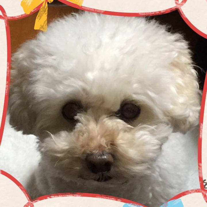 Cfa089b1 3b2b 4807 97dc 685a6b2ef666