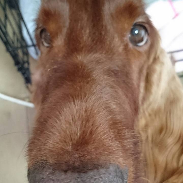 Cfa0da80 2cb0 446a b926 d9fc1022e1f8