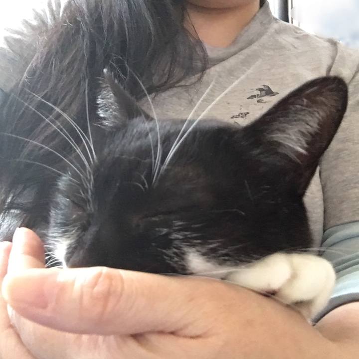 Cfa11958 1de8 485f b095 e9019068e42a