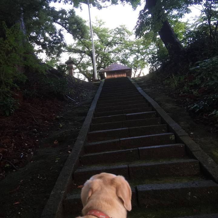 Cfa15602 c764 4eaa 8fd8 3d9fb1bb69e5