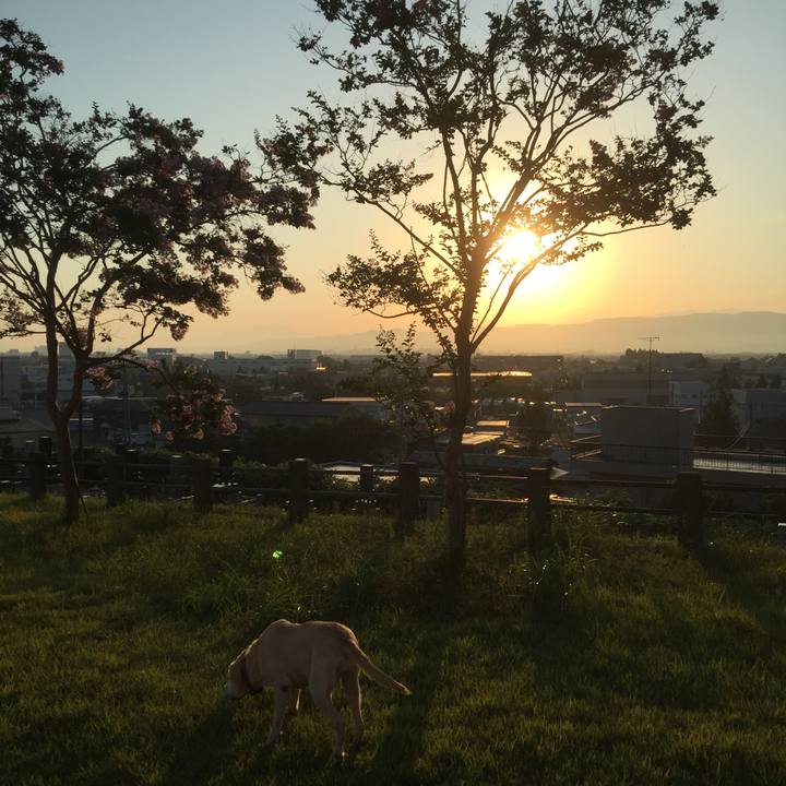 Cfa197de 59e6 4510 8586 b779c20ece0d