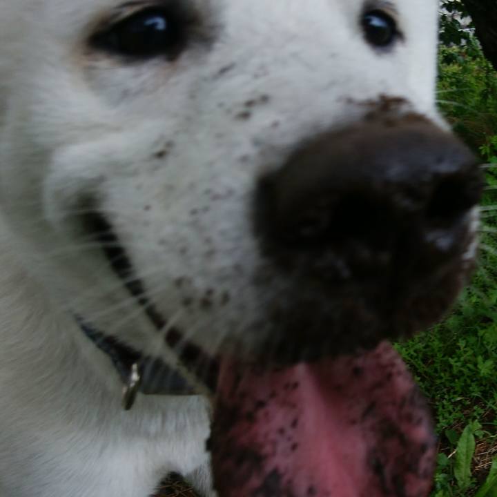 Cfa31fe0 12c5 496b 9f73 b8dd8172b209