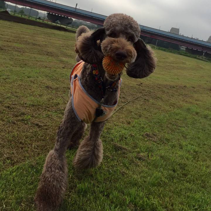 Cfa32ace a695 4bc8 ab4d 0cfbc1c3a7dc