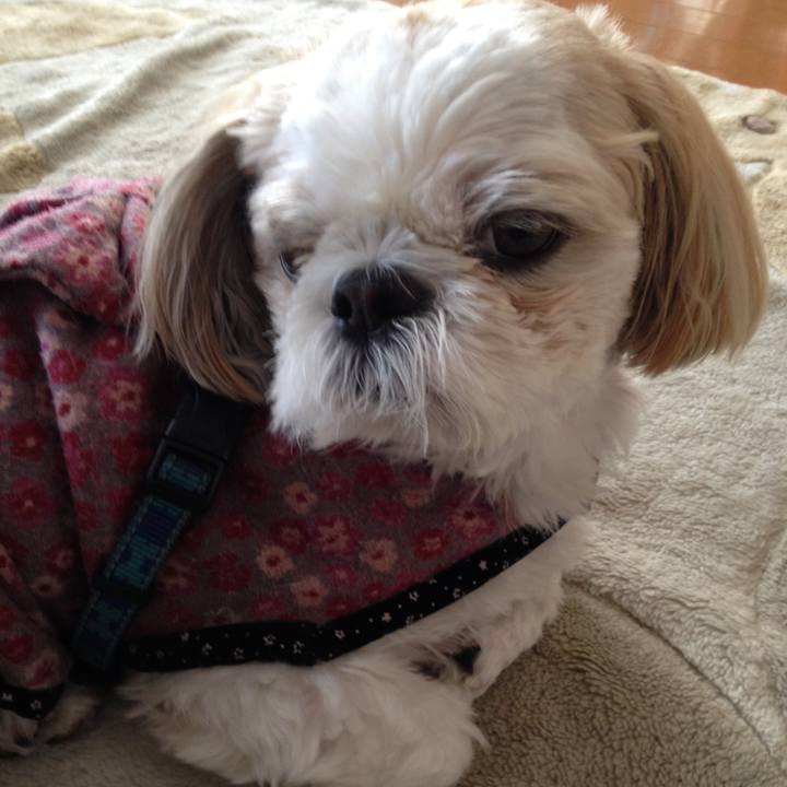 Cfa3d98b 2d7c 4876 8ef9 81b104ce7c69