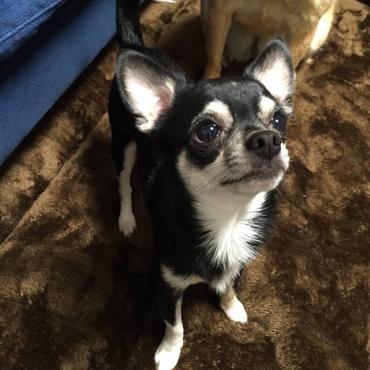 Cfa446b9 f29b 45c2 b793 e6123ac27fad