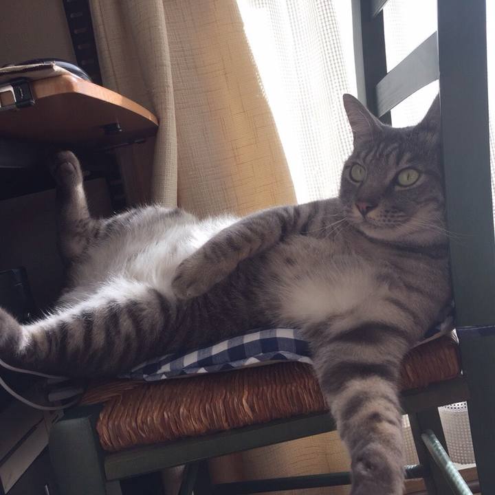 Cfa4e539 a629 4ca3 abe7 9ff13b89dfb1