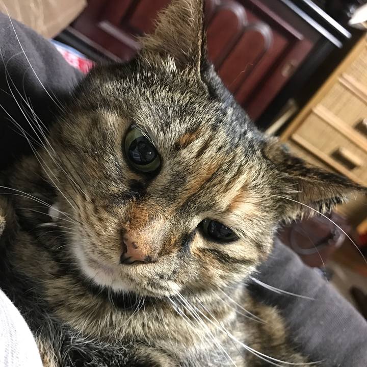 Cfa5d41e 91ee 49e0 b6f2 ec2efa34a8c9