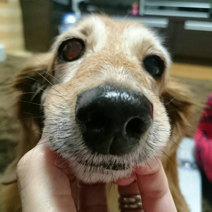 Cfa61912 eb61 4cd3 a007 4ea65619d94d