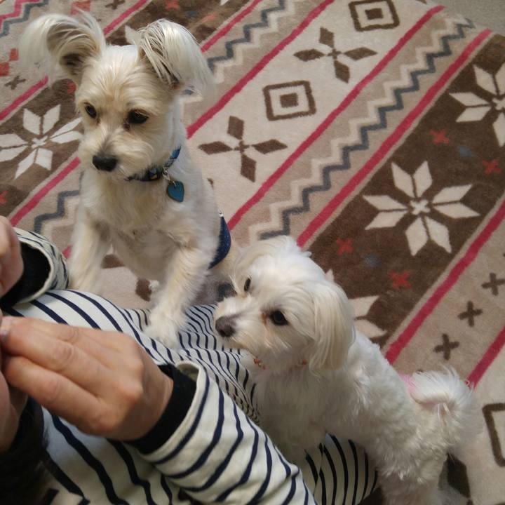 Cfa68607 fb78 440c b118 28ef05e366d5