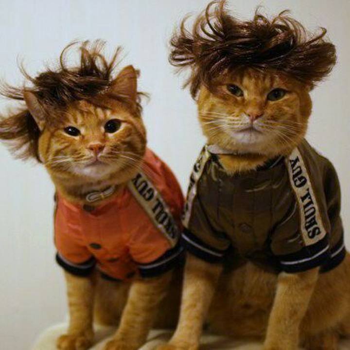 Cfa7bcf4 e161 43bf 93cd 84adefb44734