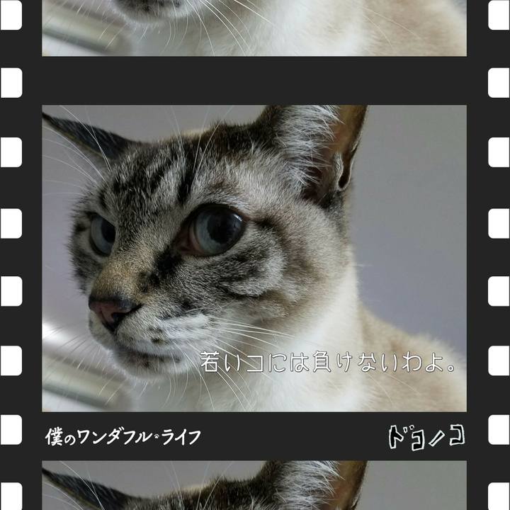 Cfa842f3 a1bb 4d5d b138 5aca1f098717