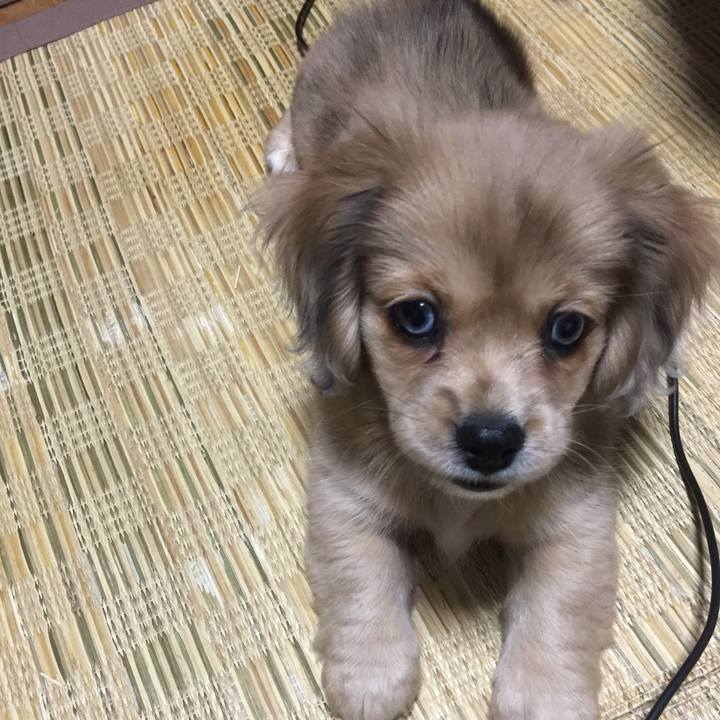 Cfa94640 bd81 4d02 8afd f1167754efa9