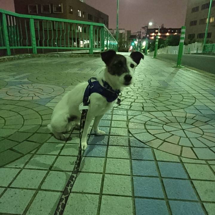 Cfa99dae f0a9 4ae5 b37f f43f22049ee7