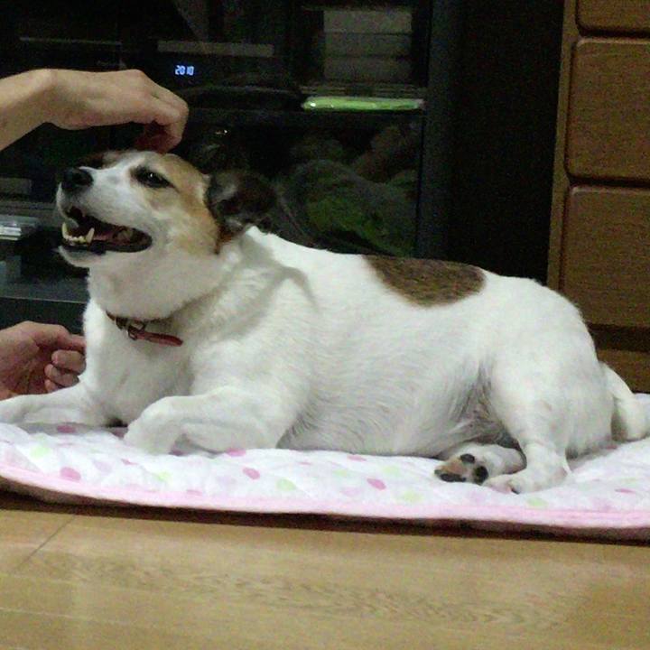 Cfa9eac2 b5ea 4e12 9d94 1d6e5016ca76