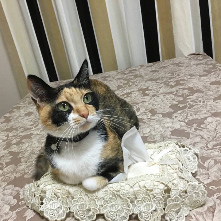 Cfaa425a 2479 403b a329 4b5f0bc2c5eb