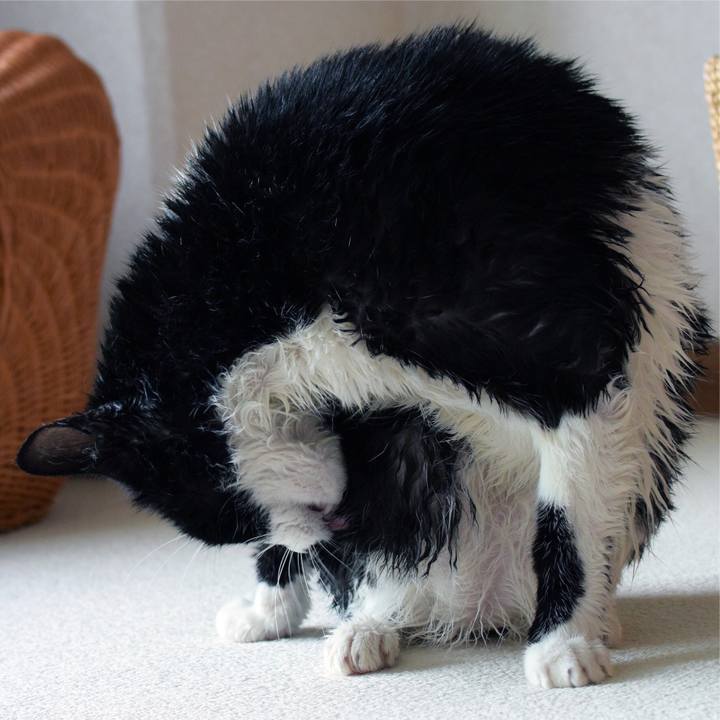 Cfaa9b72 260a 4edb bb0b 900f3797ec18