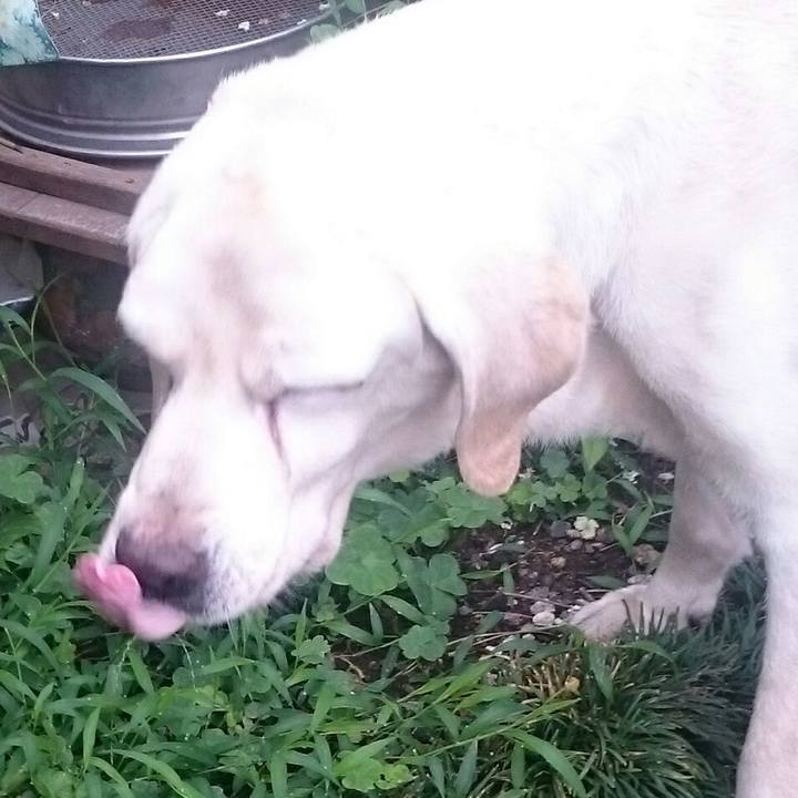 Cfaac2a7 24ef 4d07 965f 3e335b30ef1b