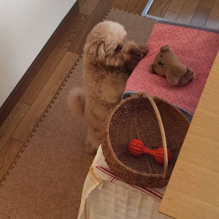 Cfab393b a834 4a27 b430 f7b3b7e063e4